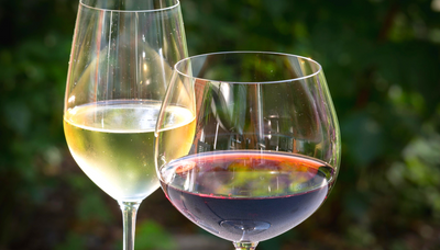 What’s In A Glass: Different Types of Wine Glasses